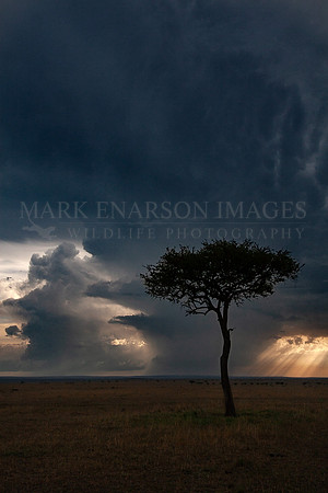Passing Storm Over Masai Mara