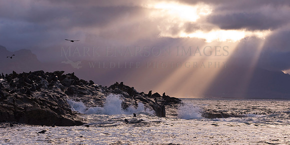 A storm passes over Seal Island, South Africa
