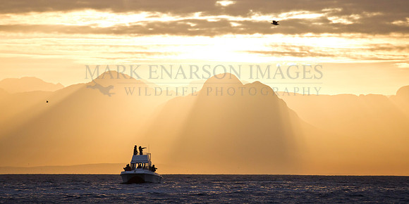 Sunrise over False Bay, South Africa