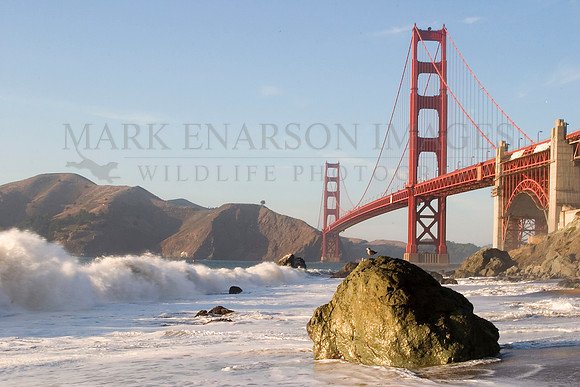 Golden Gate Bridge