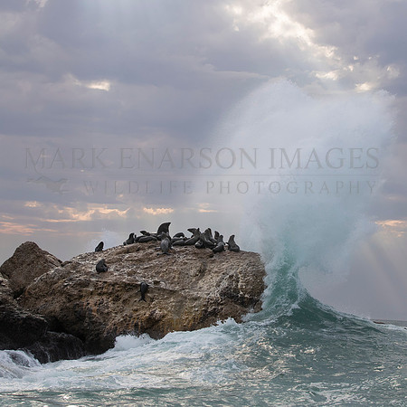 Waves crash against Seal Island, in Mossel Bay, South Africa