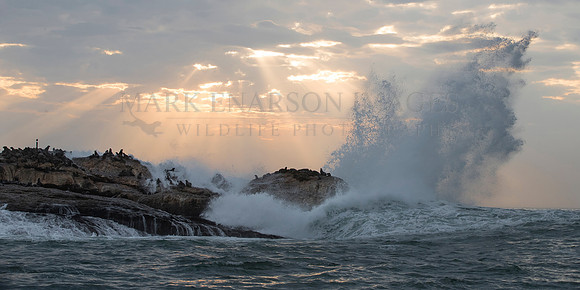 A heavy surf pounds Seal Island, in Mossel Bay, South Africa