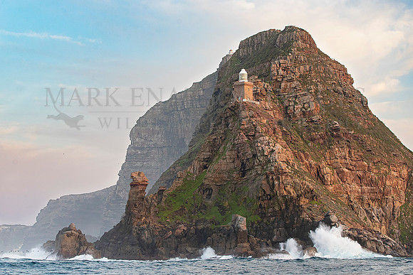 Iconic Cape Point separates False Bay from the pelagic realm of the southern ocean