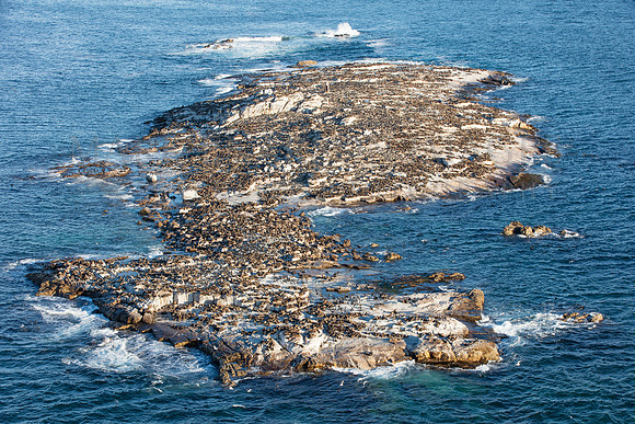 An aerial view of Seal Island, in False Bay, South Africa