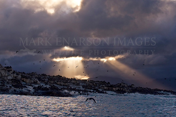 Sunbeams break through a passing storm over Seal Island, in False Bay, South Africa