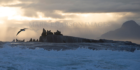 Early morning at Seal Island, in False Bay, South Africa