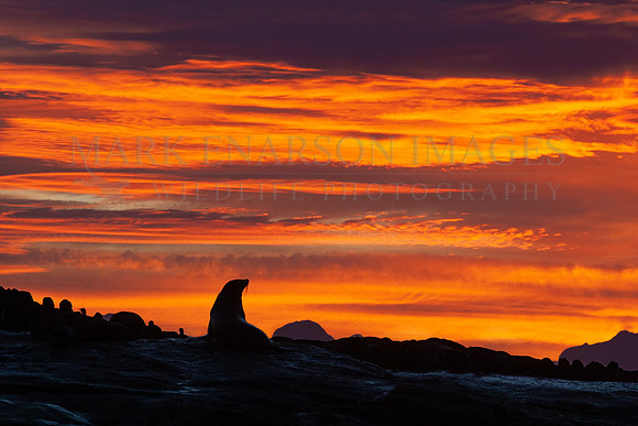 Sunrise above Seal Island, South Africa