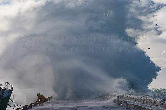 A worker struggles to secure a boat during a storm at Kalk Bay harbour, in False Bay, South Africa