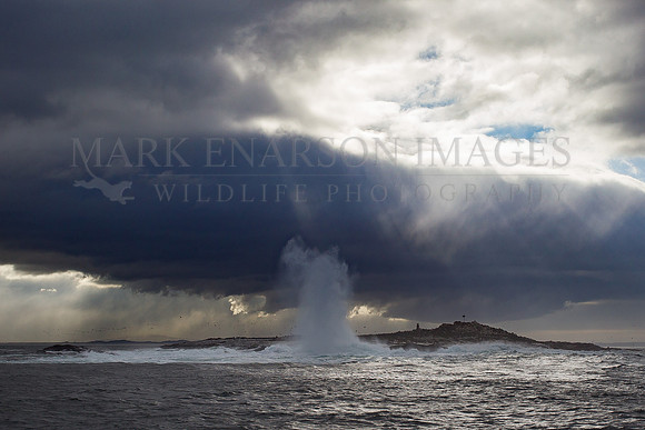 A storm over Seal Island, in False Bay, South Africa