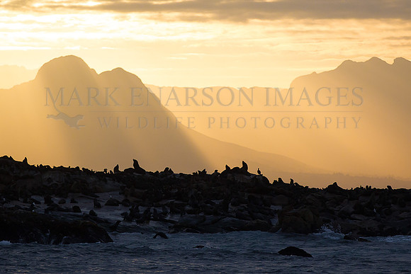 Sunlight over early morning over Seal Island, in False Bay, South Africa