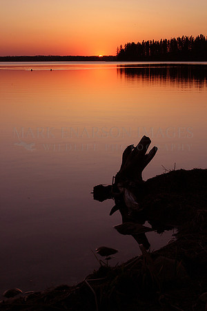 Sunset at Elk Island National Park, Canada